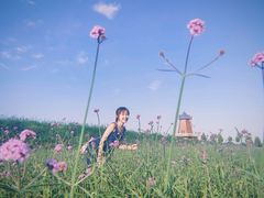 -君乐宝优致牧场