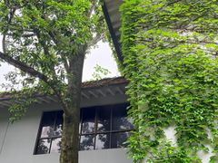 -中国茶叶博物馆(双峰馆区)