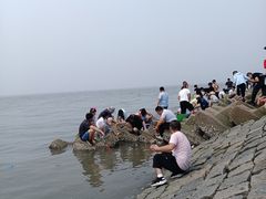 -天津妈祖文化园