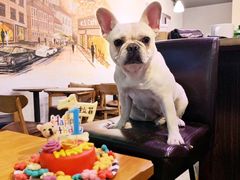 -HAPPEN(江川东路店)