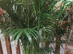 -丹江渔村(首都机场店)