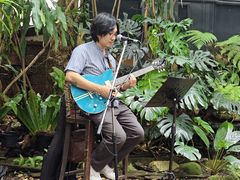 -Fern Forest Cafe