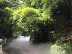 -川西竹海景区