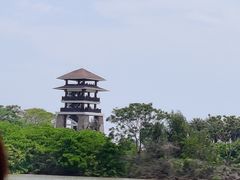 -大湾区中央湿地公园