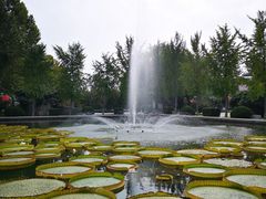 -石家庄市植物园