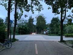 -白鹭湾湿地公园