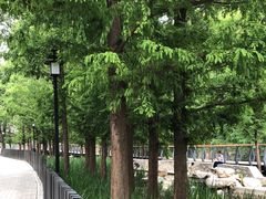 -白水寺森林公园