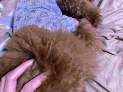 -大四喜沙拉(四条巷店)