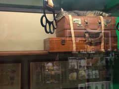 -猫咪博物馆(顶澳仔猫街店)