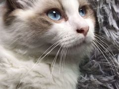 -零纪元VR体验馆·桌游(黄浦店)