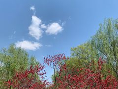 -秀水公园