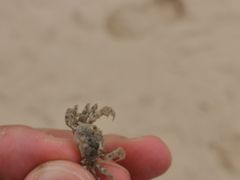 -北海金海湾红树林生态旅游区