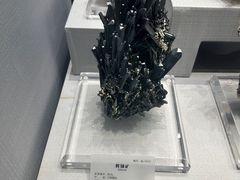 -湖南省地质博物馆