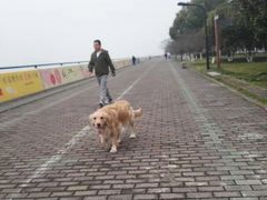 -钱塘江大桥