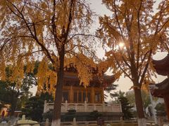 -上海东林寺(金山区)
