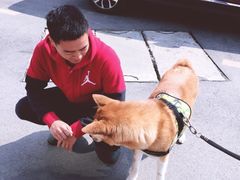 -Burn Fit燃炼健身工作室(新都旗舰店)