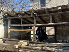 -清风小镇闯关东影视基地