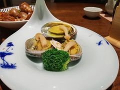 -黑松白鹿(崇文门新活馆店)