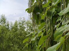 -哈尔滨北方森林动物园