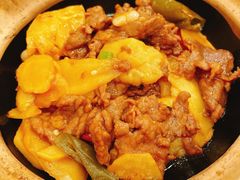 仔姜啫牛肉-粤·向群饭店(龙津东路总店)