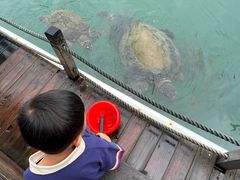 -海南分界洲岛旅游区