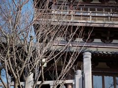 -梦溪园(中营街)