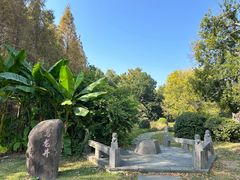 -东湖落雁景区