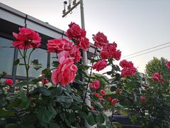 -凯德广场(武胜路店)