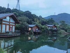 -杭州开元森泊度假乐园