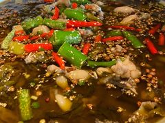 招牌跳水蛙-成都娃娃花园餐厅 (南艺旗舰店)