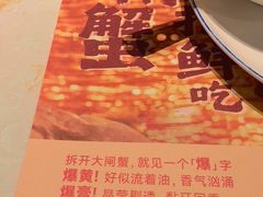 -点都德·毕德寮