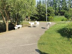 -前小桔亲子创意农场·草莓采摘·露营烧烤