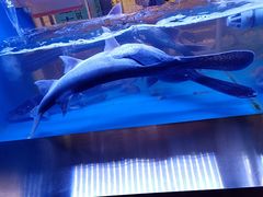 -鱼豆吉·豆浆鱼火锅(宜昌万达店)