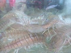 富贵虾-生生海鲜酒楼