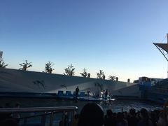 -秦皇岛新澳海底世界