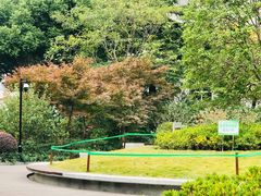 -兰溪青年公园