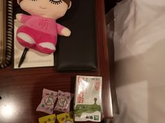 -天鹅湖大酒店