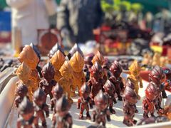-中环花鸟鱼虫市场