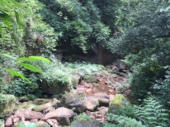 -赤水丹霞旅游区·佛光岩