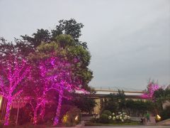 -逗号立方