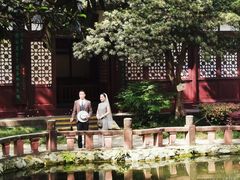 -望江楼公园