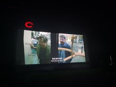 -枫花园汽车电影院(朝阳公园店)