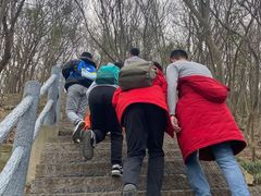 -紫金山山顶公园