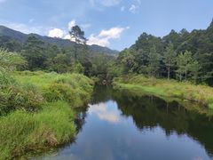 -海南热带雨林国家公园吊罗山景区