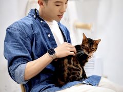 -楼上猫咖(罗湖店)