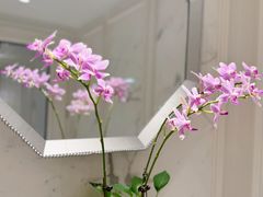 -翠湖宾馆·中餐厅