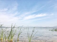-观澜小洱海
