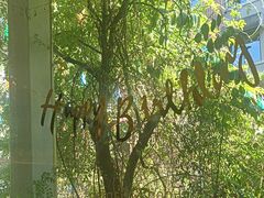 -春树下·树屋花房西餐厅(罍街AS1980店)