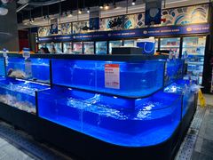 -盒马鲜生(曜一城店)