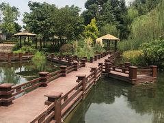-成飞公园